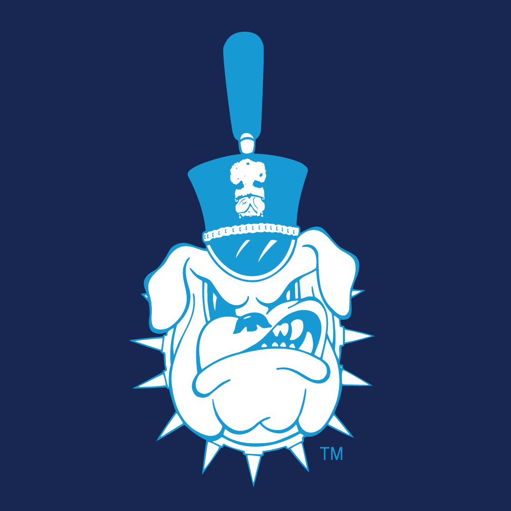 The Citadel Bulldogs 0-Pres Alternate Logo diy fabric transfers
